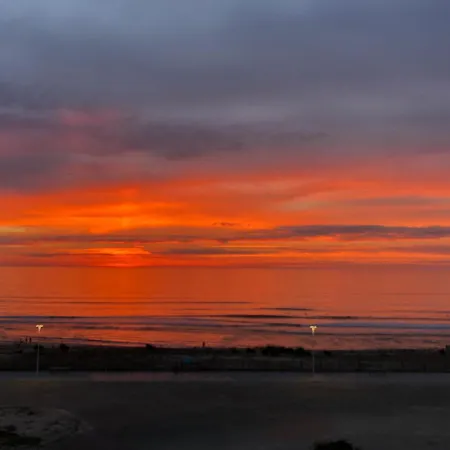 Sunset Lovers