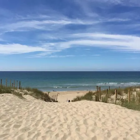 Sunset Lovers * Lacanau